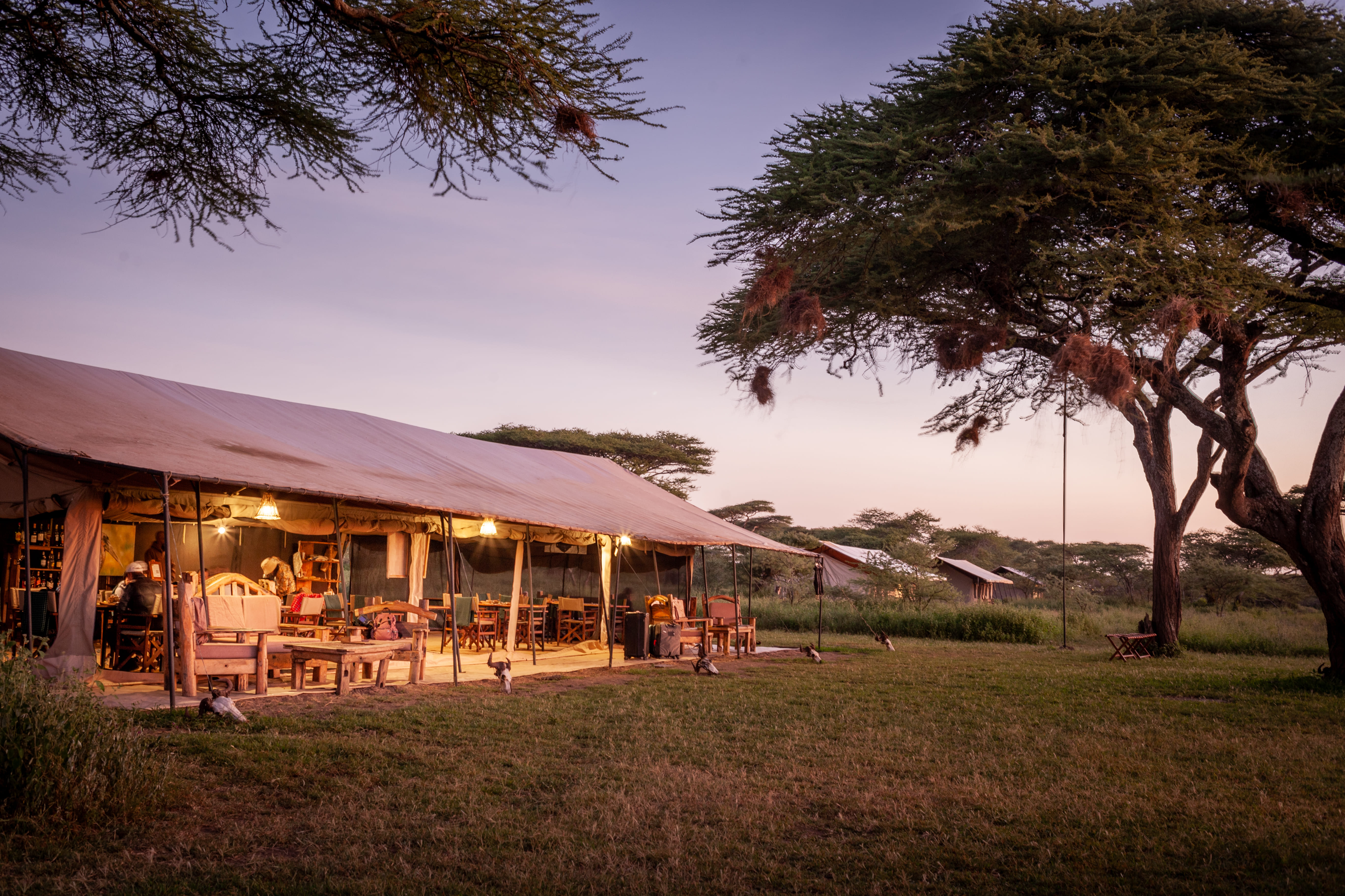 GNU Ndutu Camp