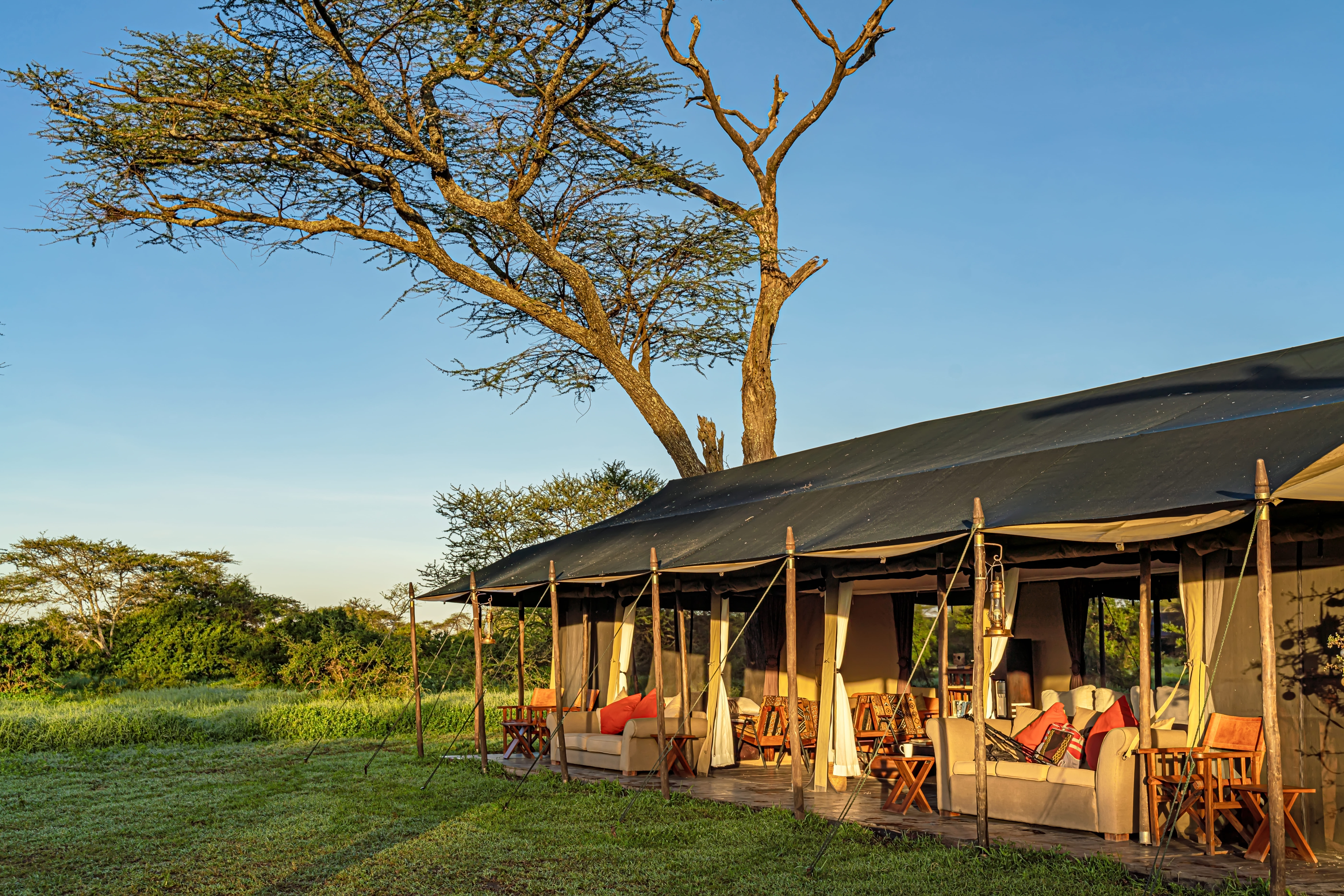 Lemala Mara & Ndutu Tented Camp