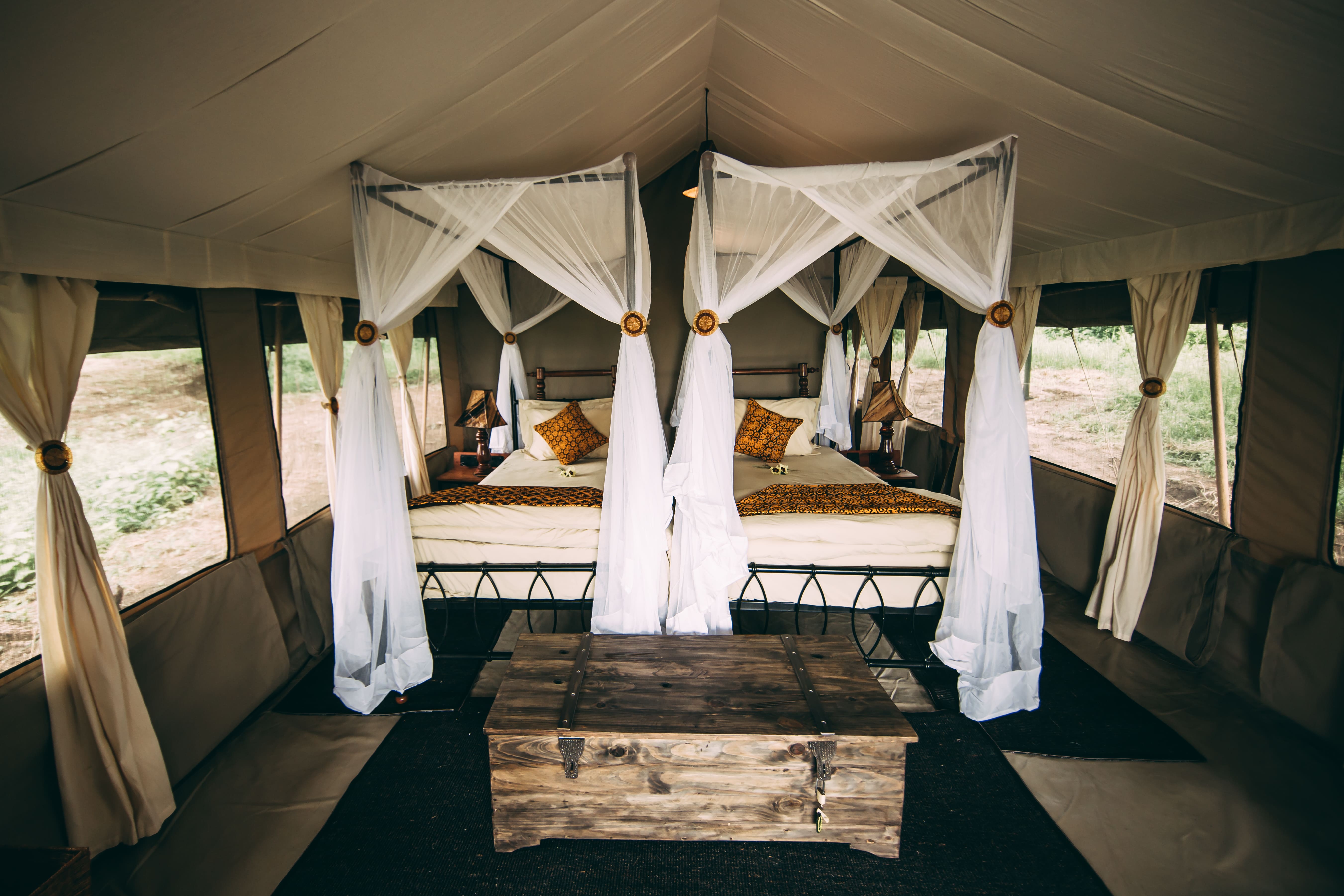 Tortilis Serengeti