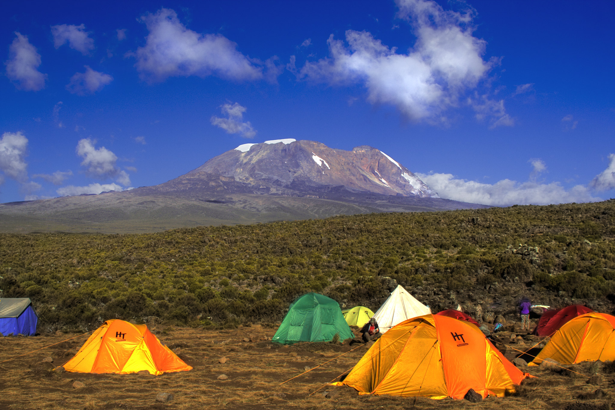 Shira Camp