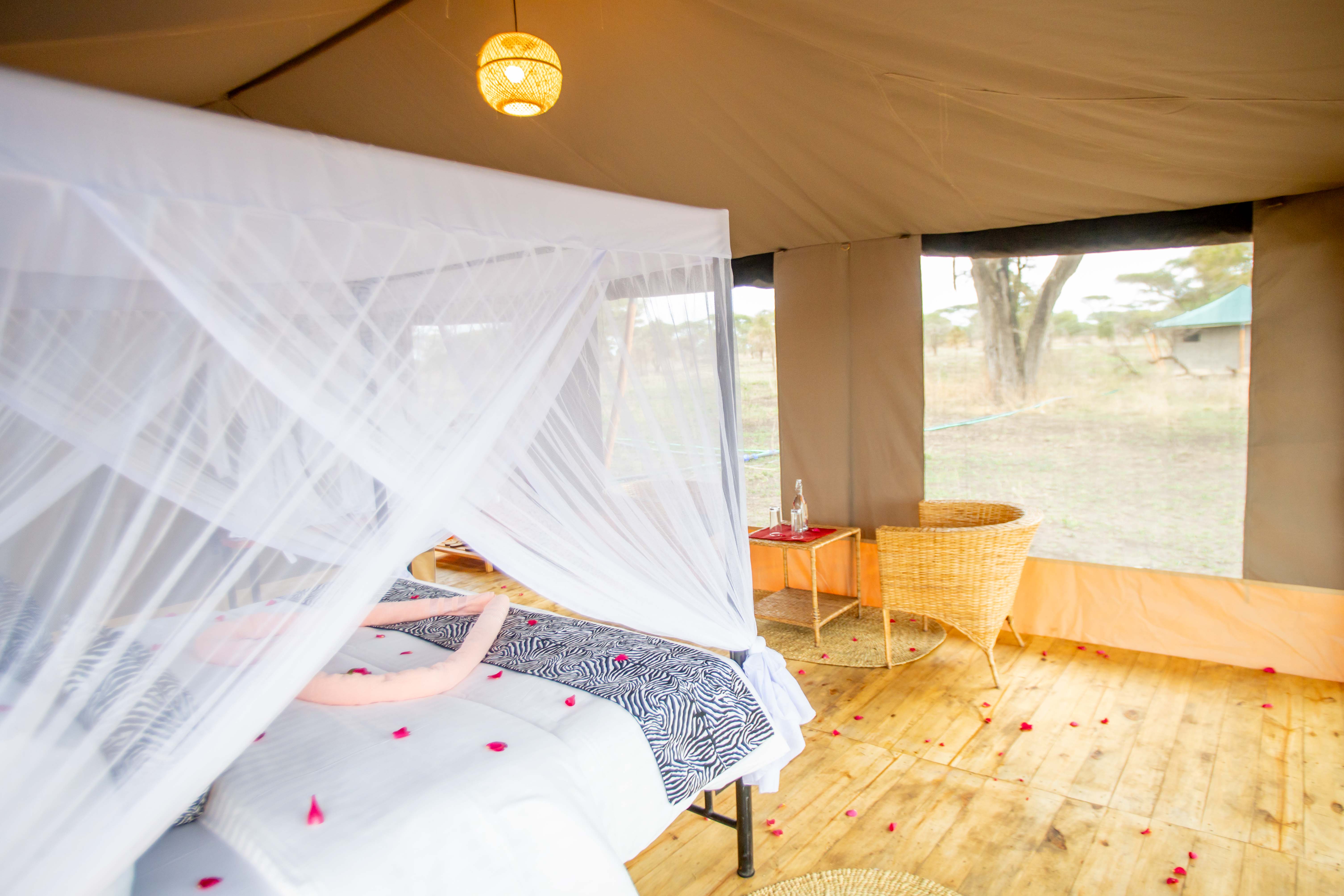 Serengeti Classic View Migration - Ndutu