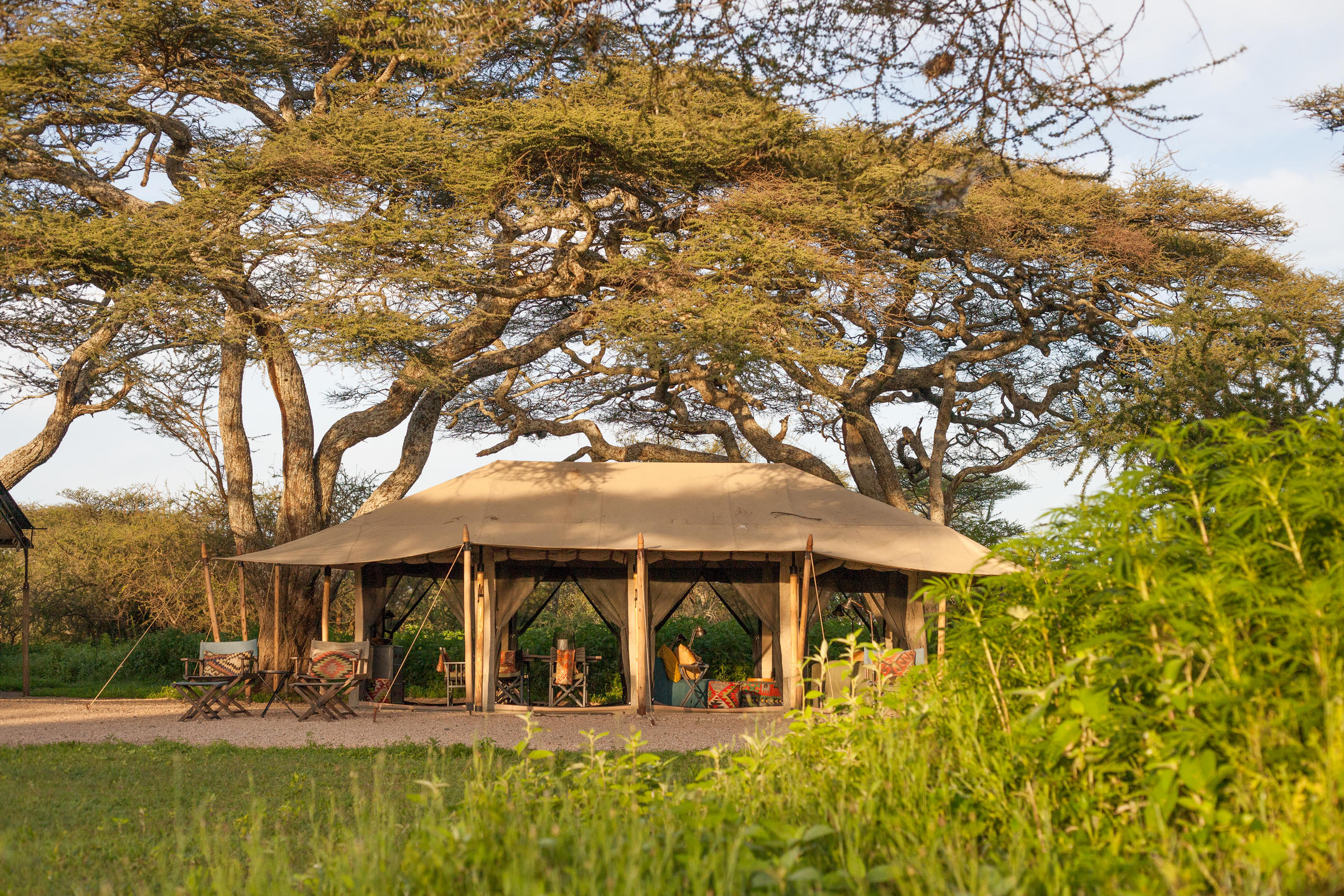 Nyasi, Auberge Safari