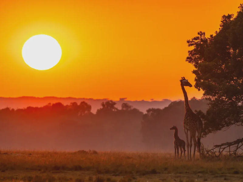 Serengeti National Park — 1