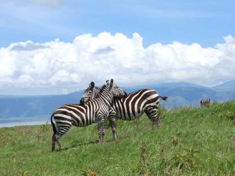 Ngorongoro Conservation Area — 3