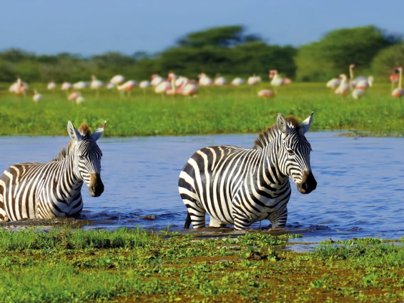 Tarangire National Park — 1