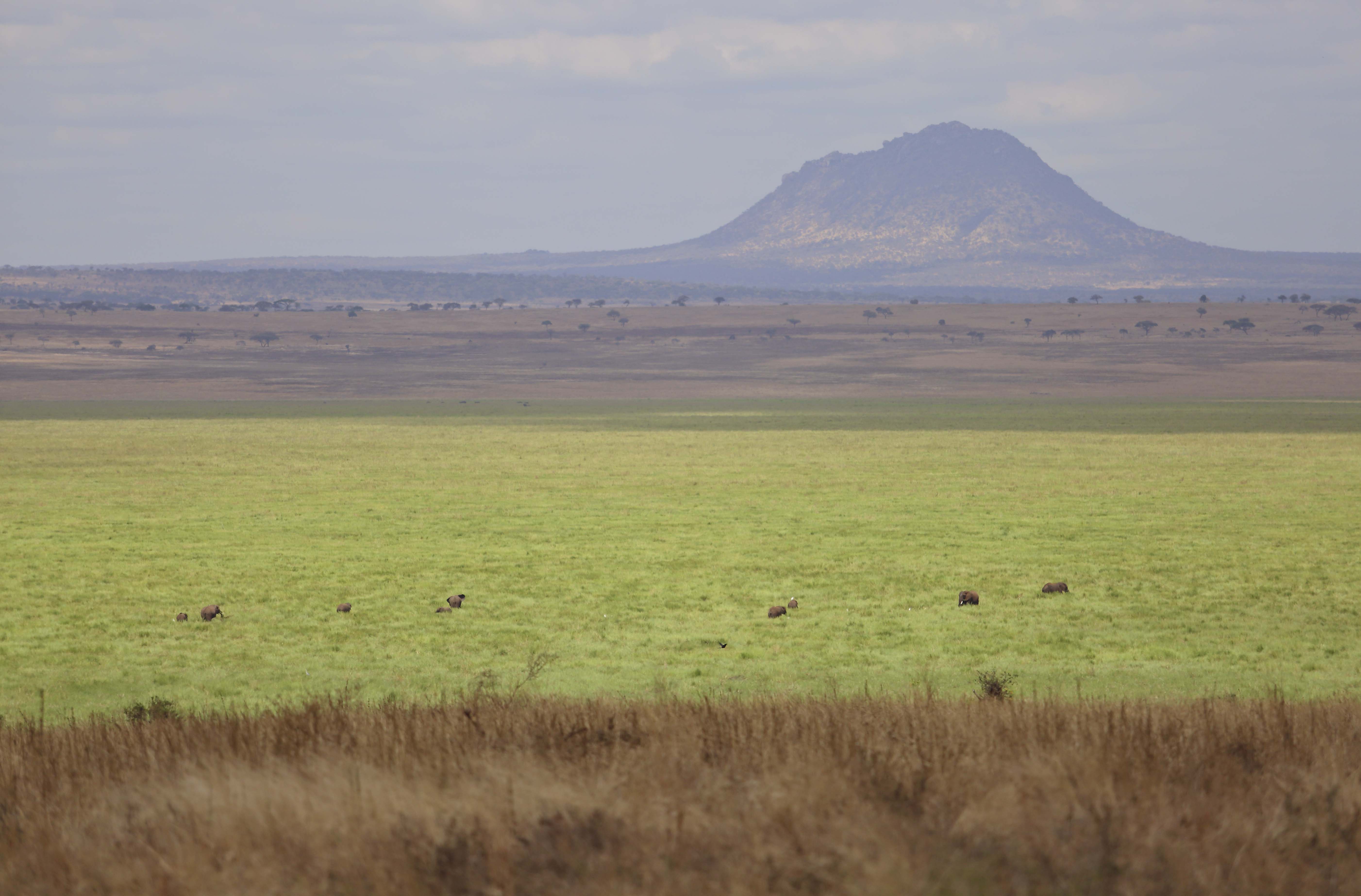 Day 1 — Arusha – Tarangire National Park