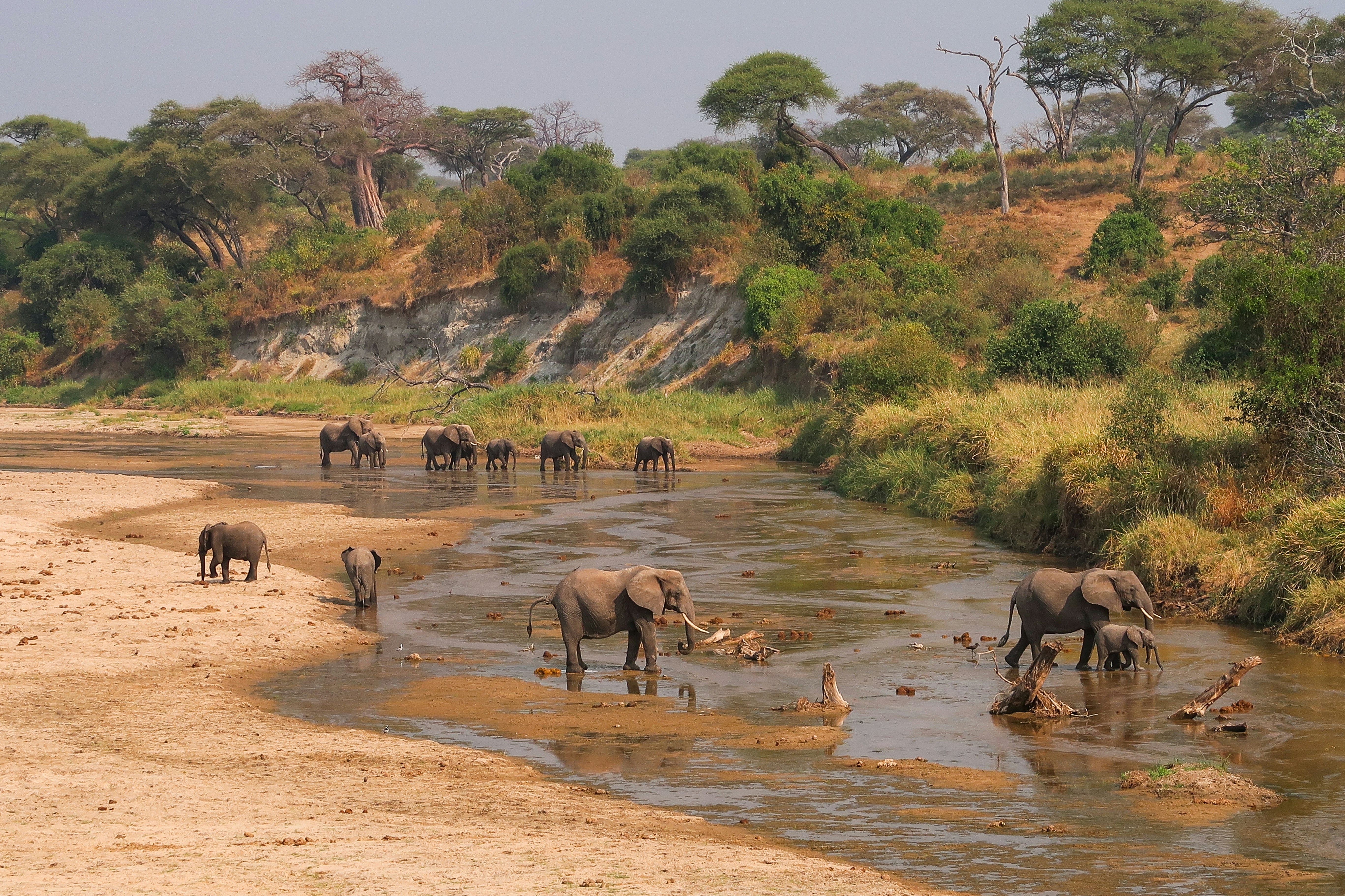 Day 1 - Arusha – Tarangire National Park
