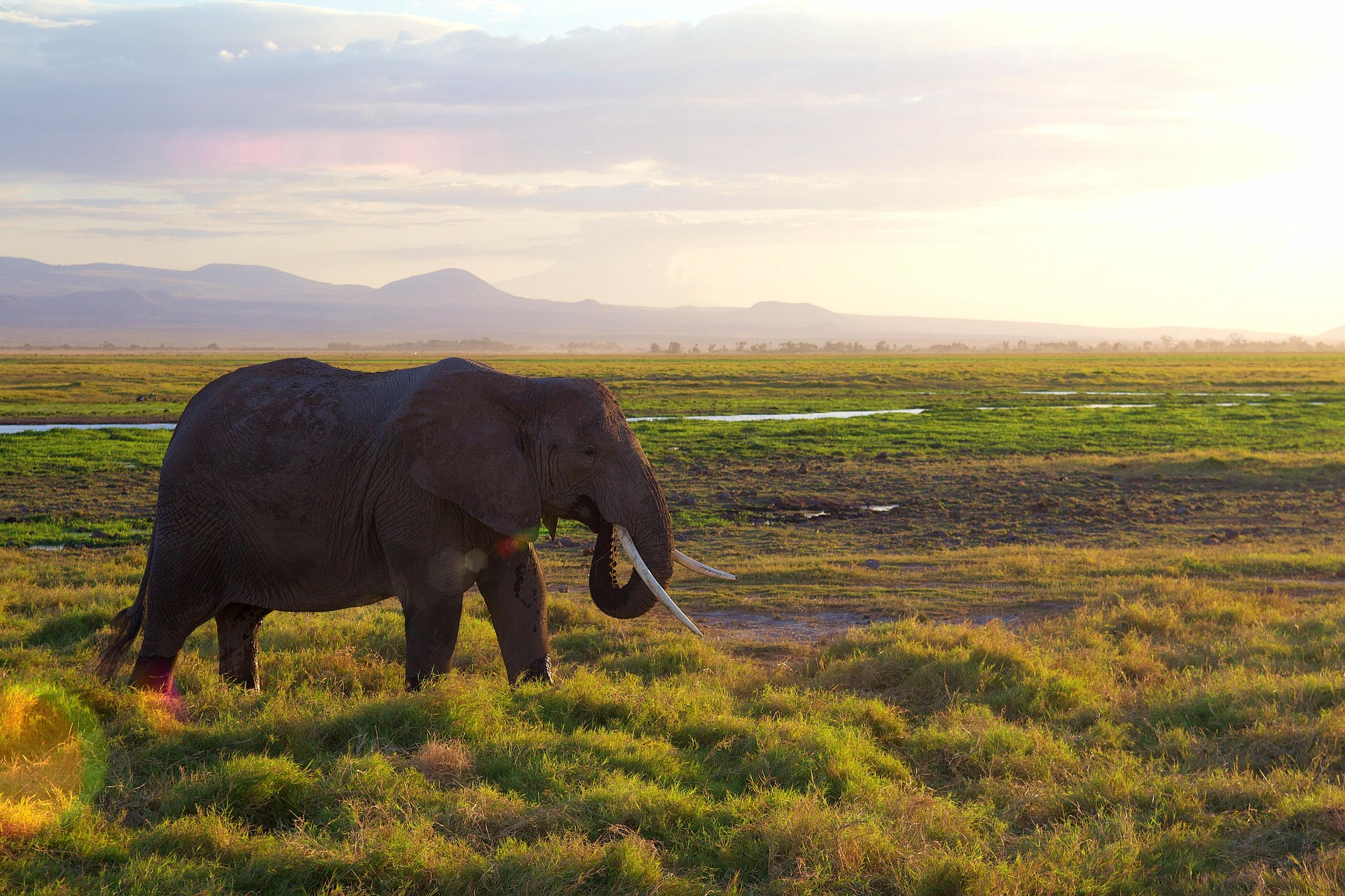 Day 1 - Arrival – Tarangire National Park – Karatu