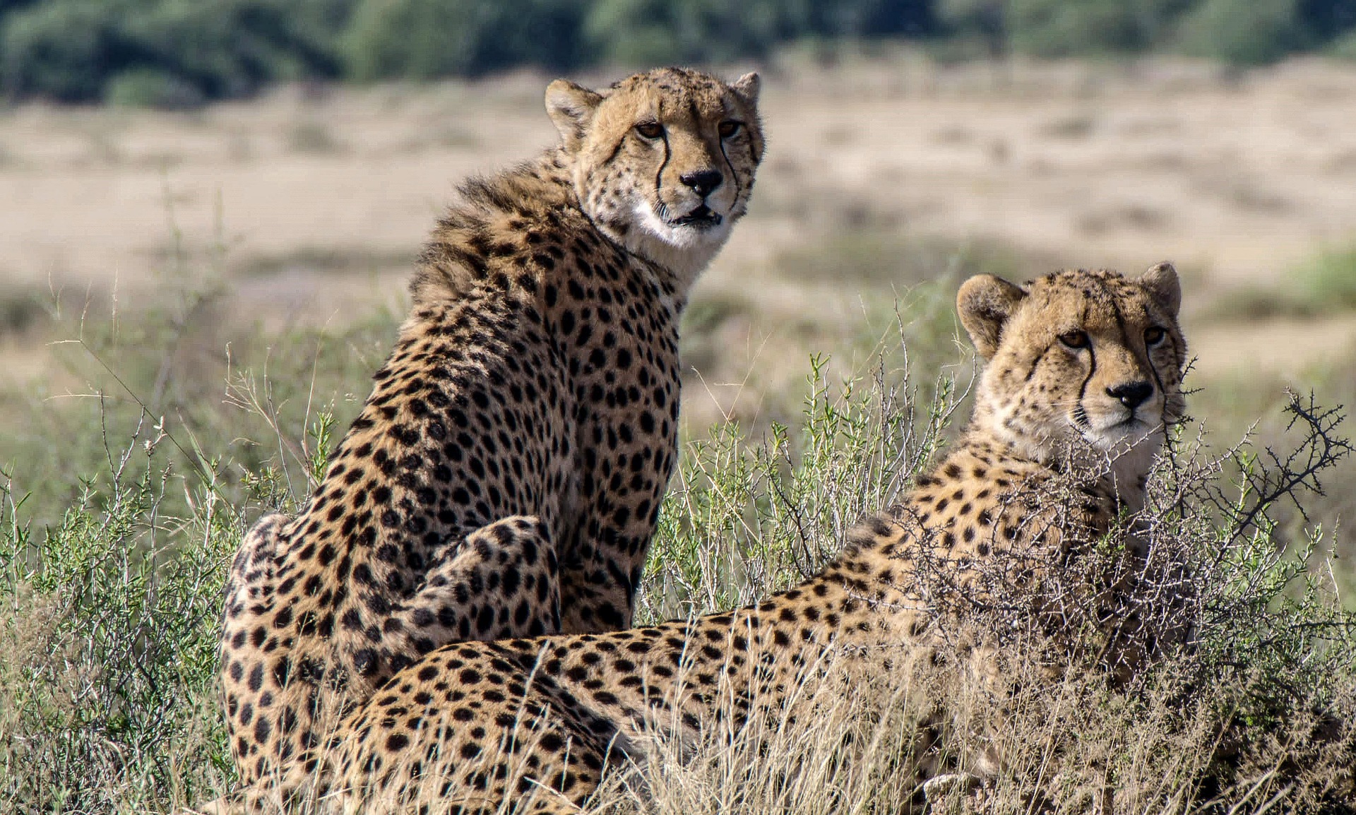 Day 1 - Arusha – Serengeti National Park