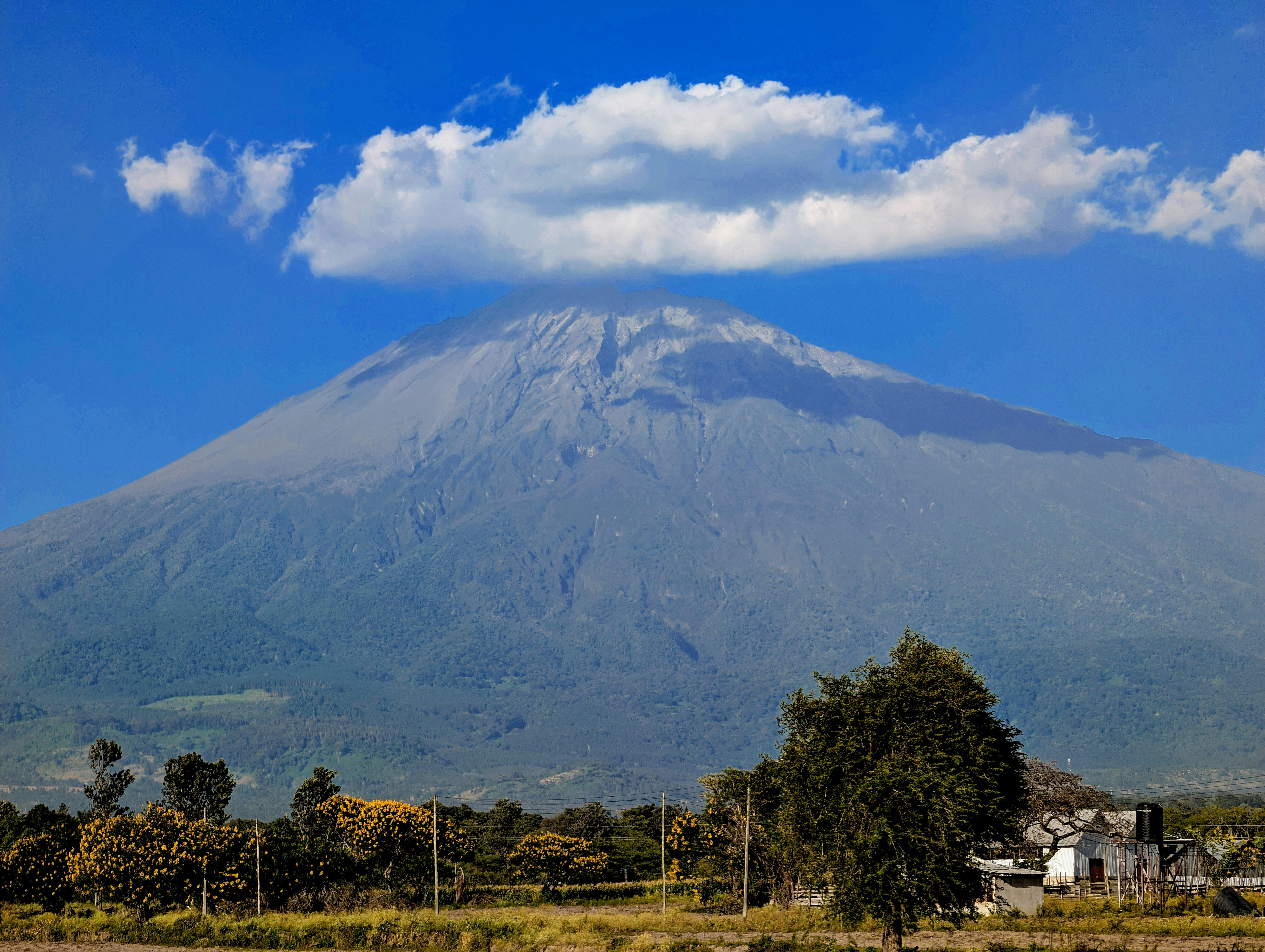 Day 1 - Arrival in Arusha – Gateway to Adventure