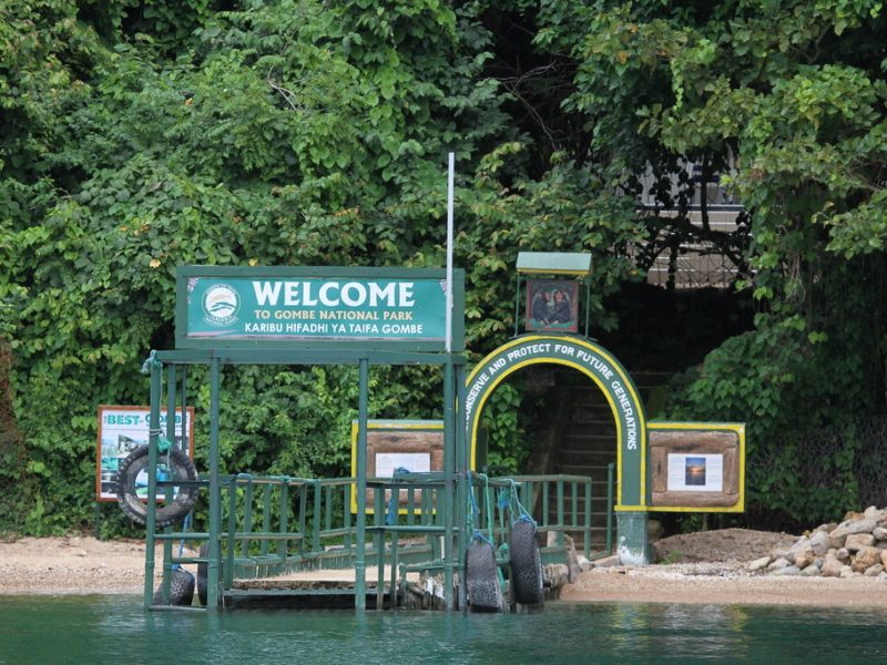 Day 1 - Arrival in Kigoma – Gateway to Gombe