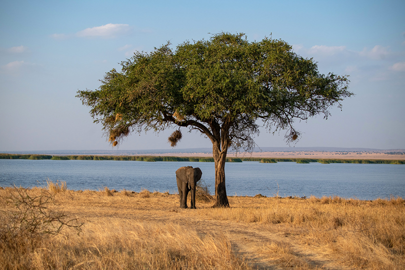 Day 1 — Arrival – Tarangire National Park – Karatu