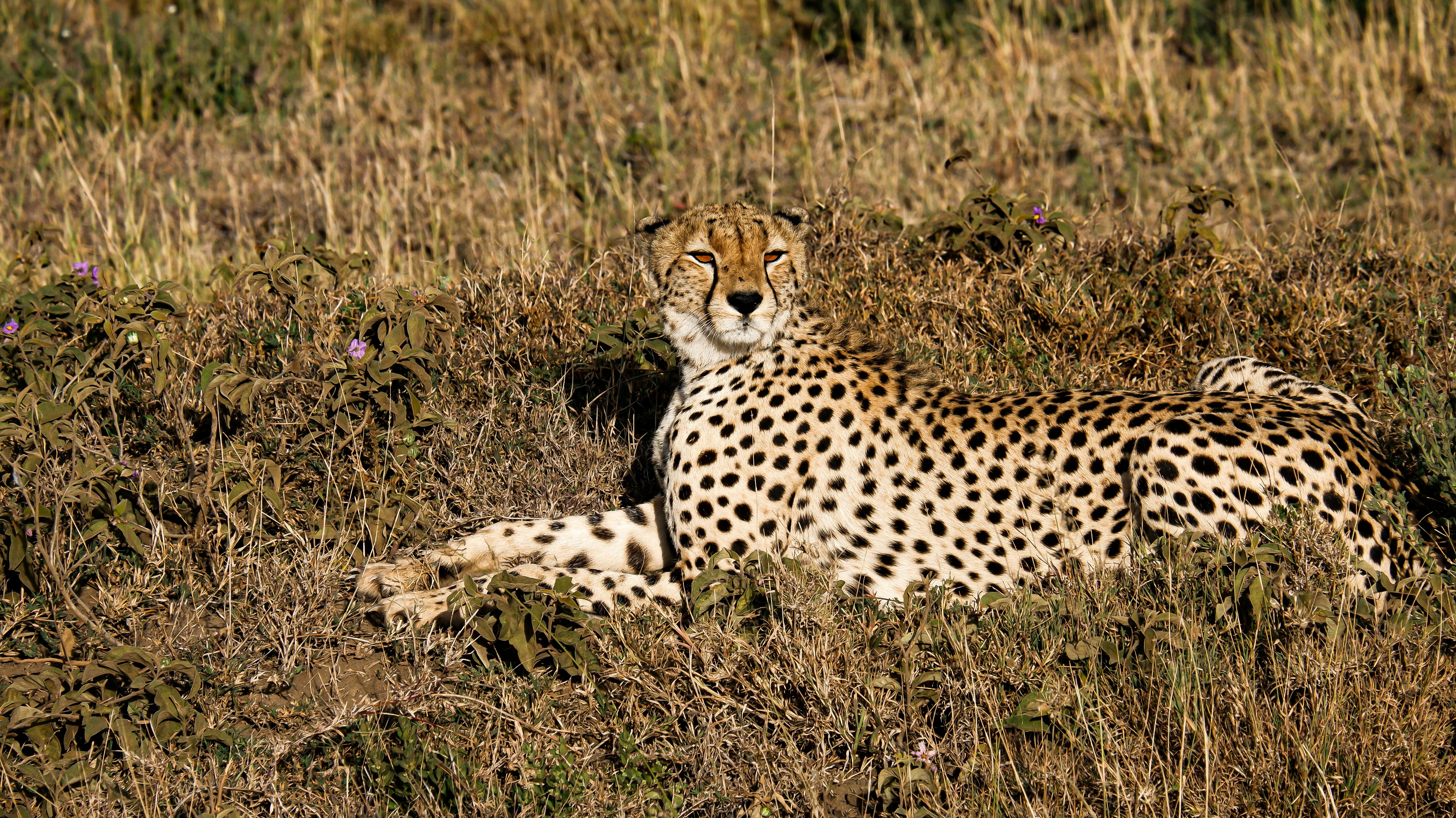 Day 1 — Arusha – Serengeti National Park