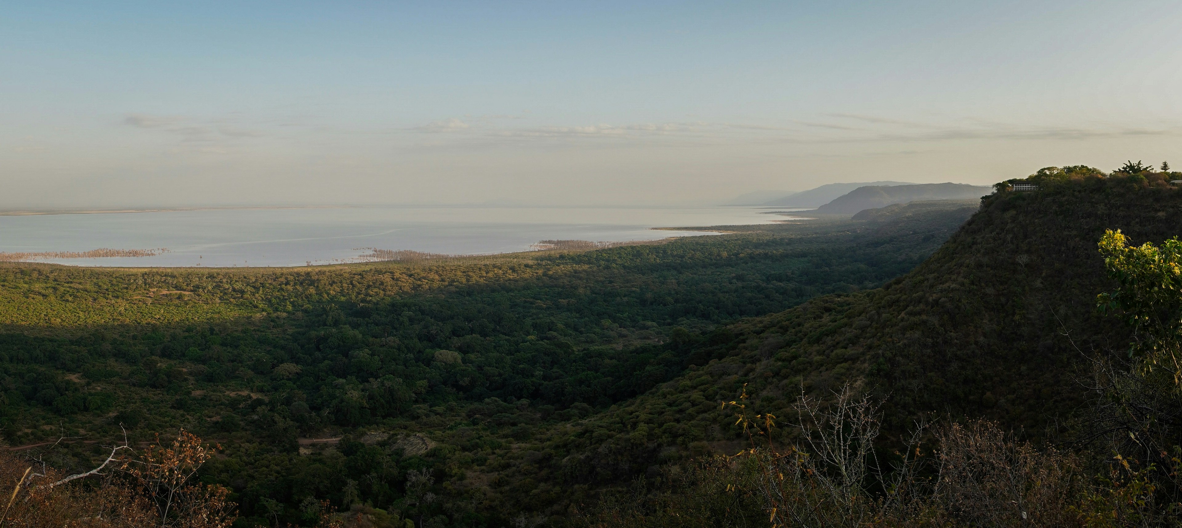 Lake Manyara Day Expedition: Between Tree-Climbing Lions and Shimmering Lakes