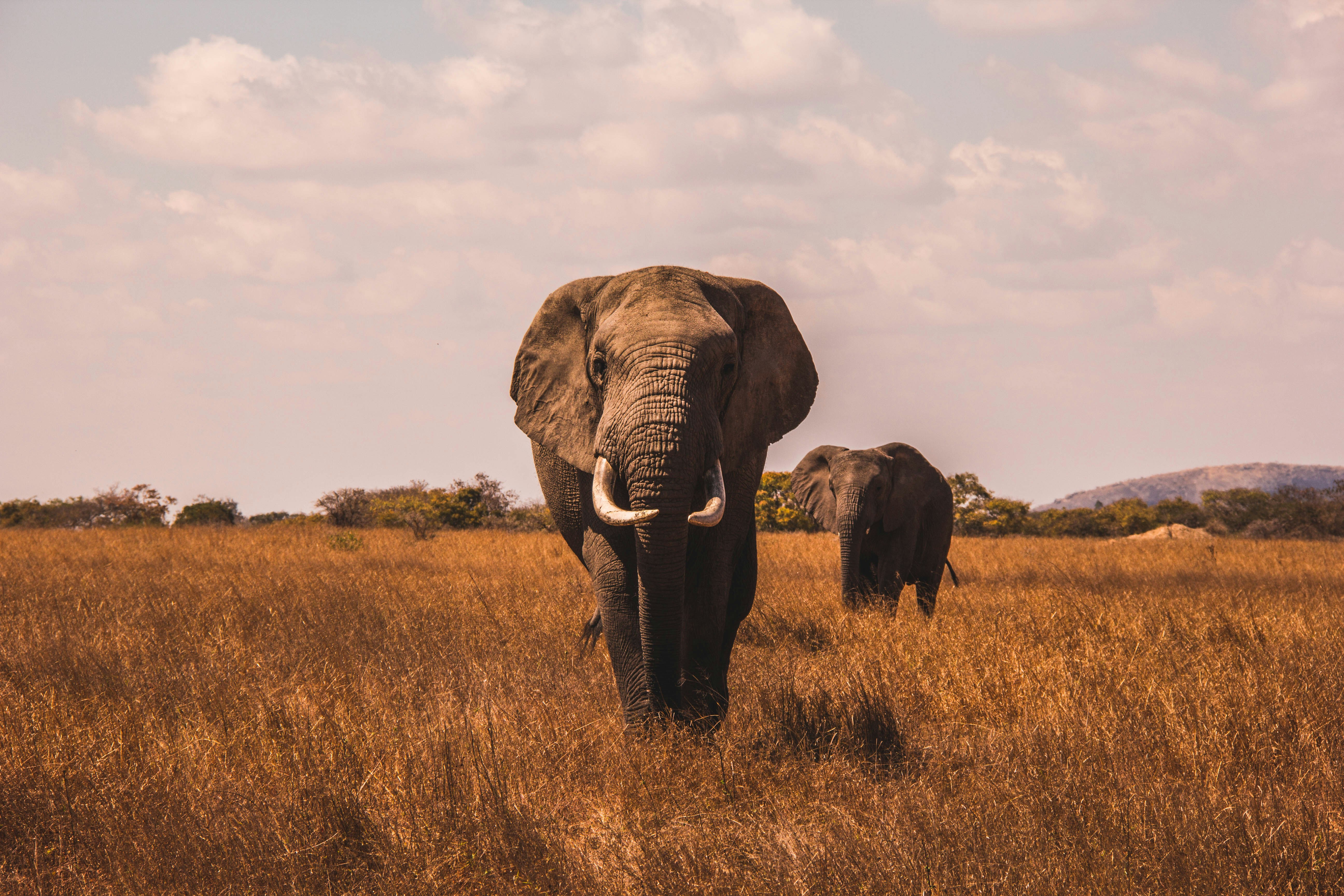 Tanzania Cultural Safari: 3 Days of Heritage & Discovery