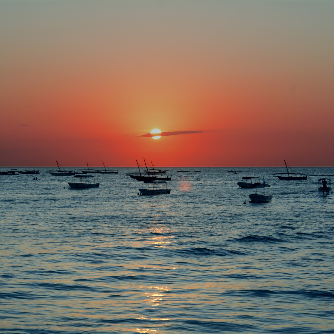 Zanzibar Beach Safari: 3 Days of Coastal Bliss & Wild Encounters