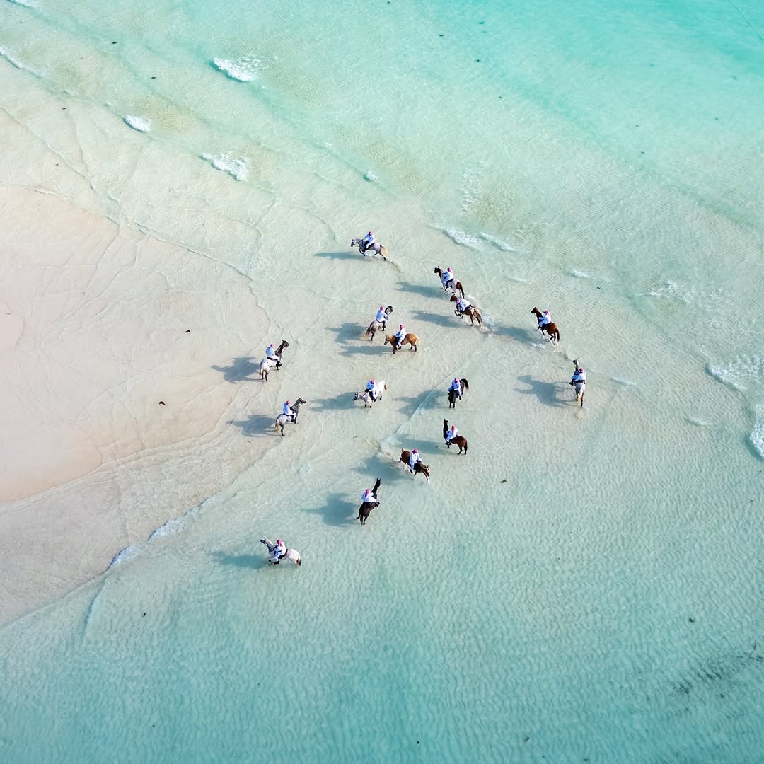 9 Days / 8 Nights Zanzibar Luxury Holiday Package