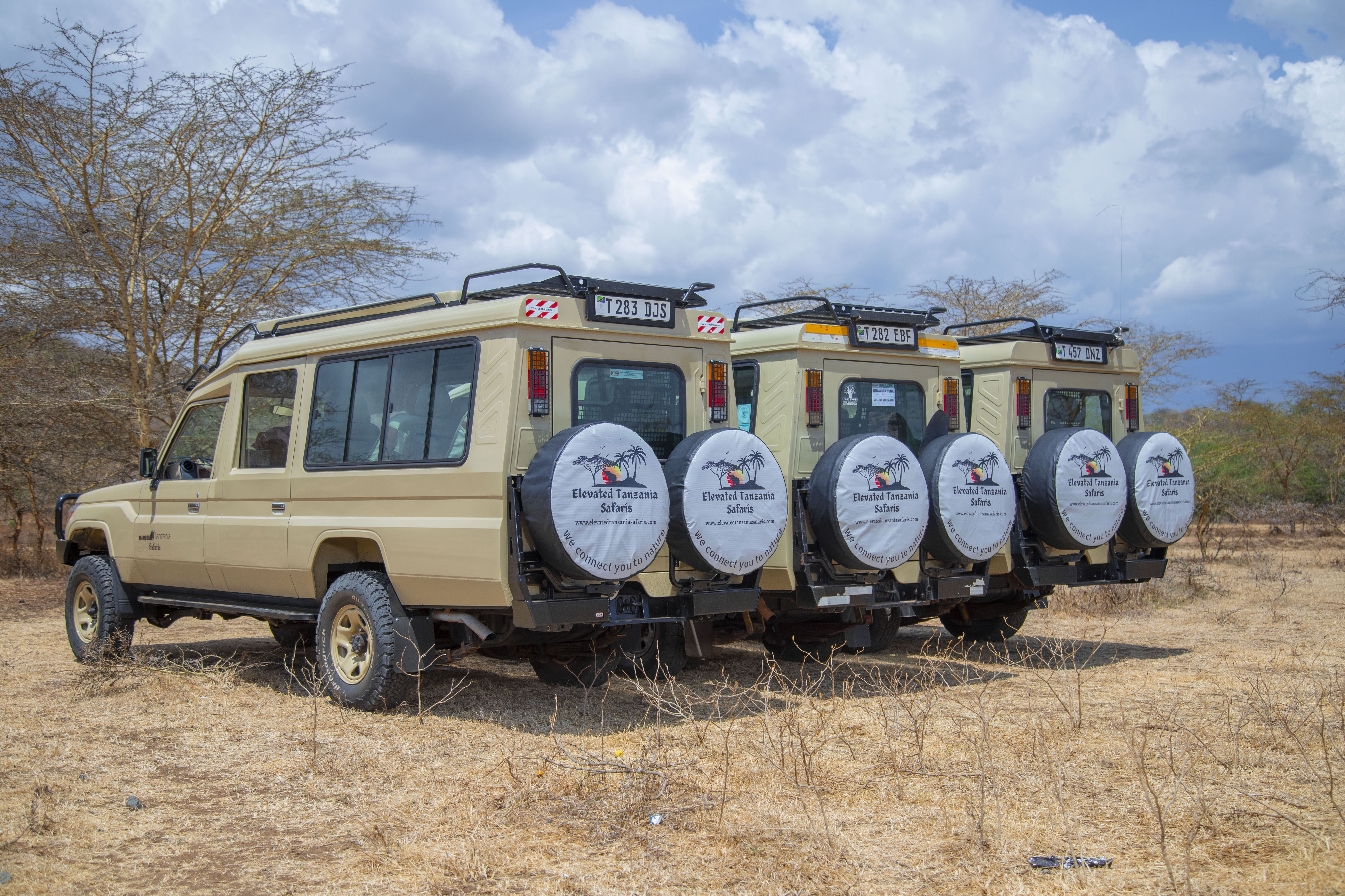 Elevated Tanzania Safari Cruisers