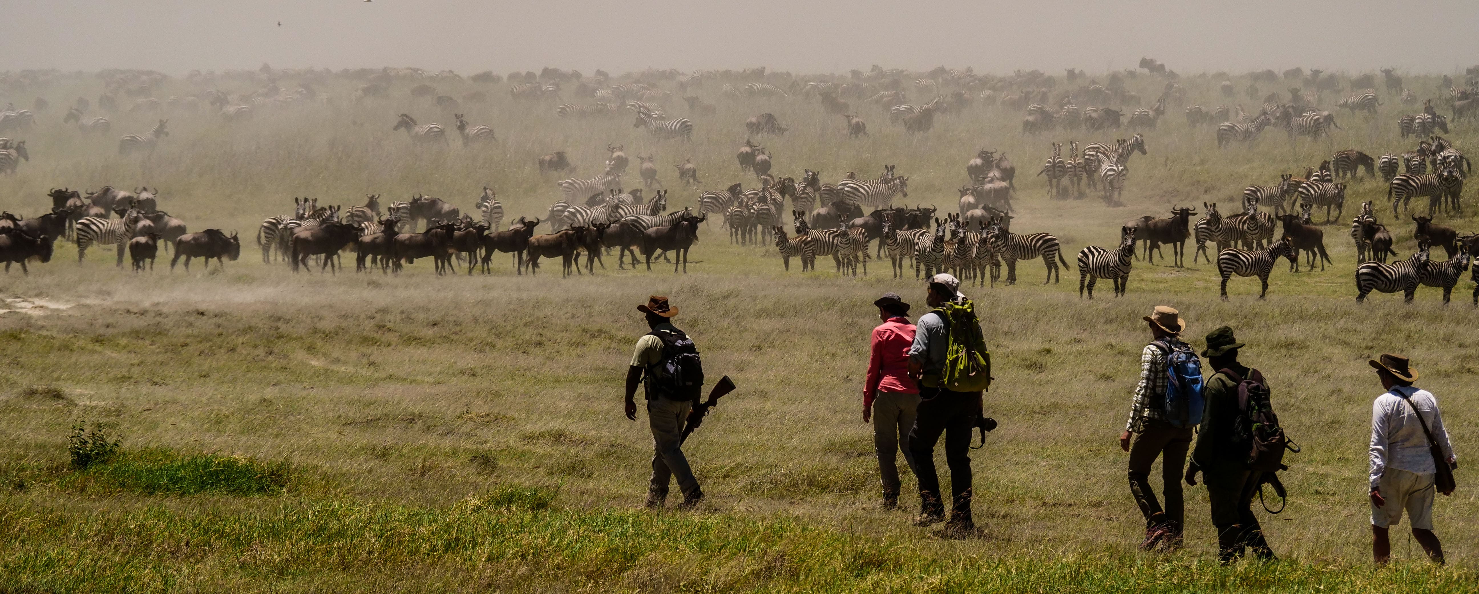 Travelers on the Walking Safari Activity