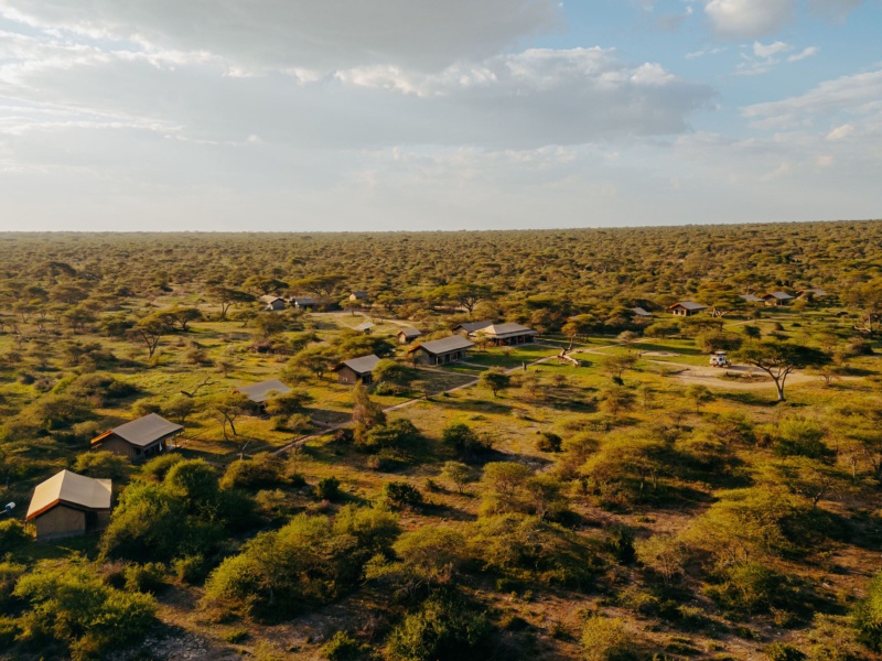 Kontiki Safari Camp in Serengeti